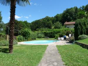 a swimming pool in a yard with a palm tree at Apartment Lido in Gozzano