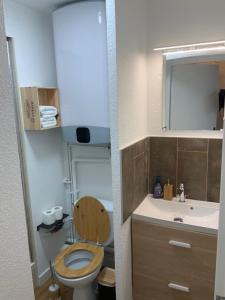 a small bathroom with a toilet and a sink at Brooklyn - Studio moderne à 2 pas du tram A in Grenoble