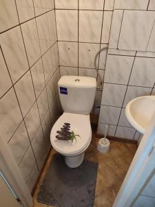 a bathroom with a toilet with a toy on the seat at Łapu Capu - Mieszkanie dla 4 osób in Grajewo