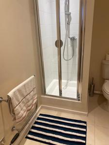 a bathroom with a shower and a blue and white rug at Luxury Apartment in Woolwich Arsenal in Woolwich