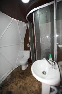 Vannituba majutusasutuses Elsesi Racha Glamping