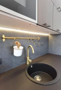 Apartment Emma في بريكو: حوض المطبخ مع أعلى منضدة سوداء ومغسلة