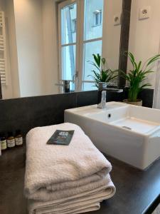 a bathroom with a sink and a towel on a counter at Lovely studio at Île Saint-Louis in Paris