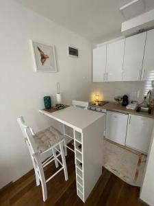 Kuchyň nebo kuchyňský kout v ubytování Apartman 5 Vrnjačka Banja