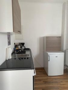 een kleine keuken met een wastafel en een koelkast bij Apartment Katharina in Püttlingen