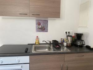 a kitchen with a sink and a stove at Apartment Katharina in Püttlingen