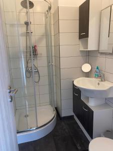 een badkamer met een douche en een wastafel bij Apartment Katharina in Püttlingen