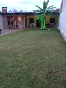 a backyard of a house with a palm tree at VILLA PRAIA GRANDE in Matinhos