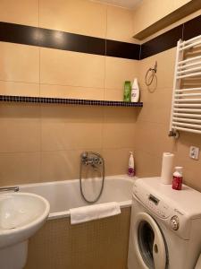 La salle de bains est pourvue d'un lave-linge et d'un lavabo. dans l'établissement Green Apartment, à Koło