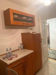 a kitchen with wooden cabinets and a counter top at Green Apartment in Koło