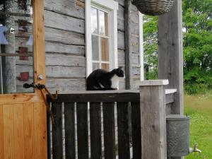 ElomäkiにあるYläpihan Tilaのギャラリーの写真