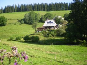 una casa en una colina en un campo verde en Grundhäusle en Gütenbach