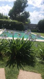 Bazén v ubytování Los trinos nebo v jeho okolí