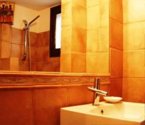 a bathroom with a sink and a shower and a mirror at Sea Front in Milina