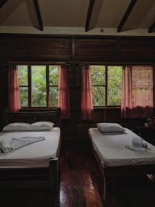 two beds in a room with two windows at Kinkajoungalows - Amaya Family, Drake Bay, Osa Peninsula in San Pedrillo