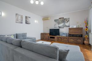 Μια τηλεόραση ή/και κέντρο ψυχαγωγίας στο Family-friendly apartments with swimming pool Cepic, Central Istria - Sredisnja Istra - 11636