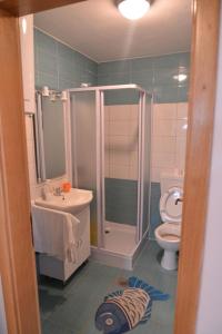 a bathroom with a shower and a sink and a toilet at Apartments with a parking space Stinjan, Pula - 11648 in Štinjan