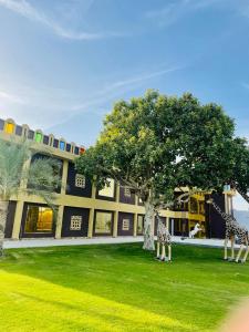 two giraffes standing in the grass in front of a building at Daraysh Hotel in Sharjah