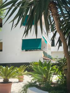 a building with a green awning and some plants at Casa Mirtina Ischia Sea House in Ischia