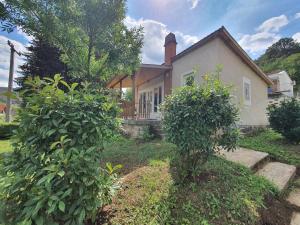 a house with two bushes in front of it at Orfűi Kisház in Orfű