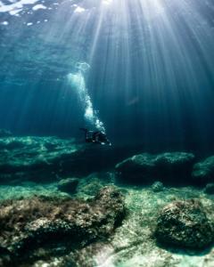 una persona nadando en el océano con el sol brillando en Block, en Xlendi