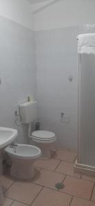 a white bathroom with a toilet and a shower at La Vecchia Fattoria in Pignola