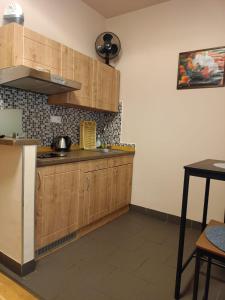 卡羅維發利的住宿－msprivat，厨房配有木制橱柜和桌子