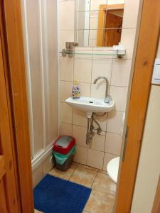 カルロヴィ・ヴァリにあるmsprivatの小さなバスルーム(洗面台、トイレ付)