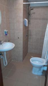 a bathroom with a toilet and a sink at City Center Apartments in Haifa