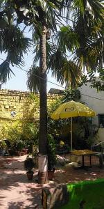 Vrt pred nastanitvijo Zigzag Homestay