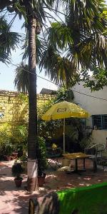 Vrt pred nastanitvijo Zigzag Homestay