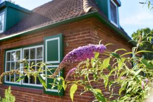 ein Haus mit einer lila Blume davor in der Unterkunft Gemütliches Landhaus in Harmsdorf in Harmsdorf