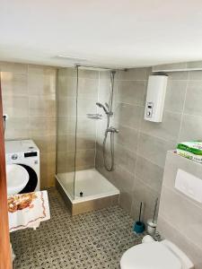 een badkamer met een douche, een toilet en een wastafel bij Landhaus inklusive Parkplatz in Schotten