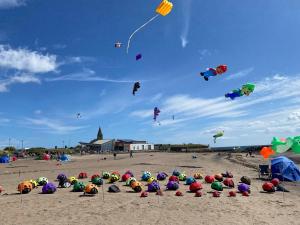 a group of people sitting on the beach flying kites at Coastal Joy - Room 1 in Newbiggin-by-the-Sea