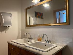 uma casa de banho com um lavatório branco e um espelho. em Perschlingtalhof em Auern