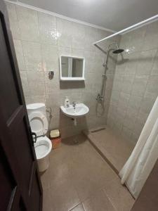 a bathroom with a toilet and a sink and a shower at Motel Orion 