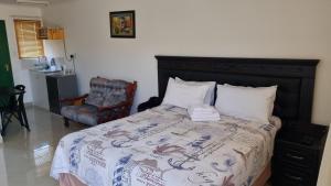 1 dormitorio con 1 cama y 1 silla en Viks Bed and Breakfast, en Greytown