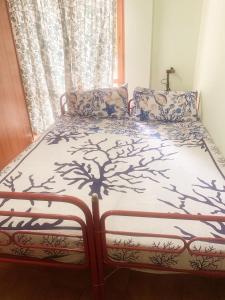 Легло или легла в стая в Piccola Casa Mucchiola 600mt dalla Spiaggia