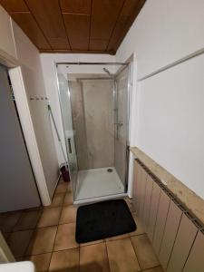 a shower with a glass door in a bathroom at Gartenappartment in Alzenau