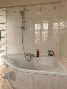 a bath tub in a bathroom with a shower at La Villa Romaine 