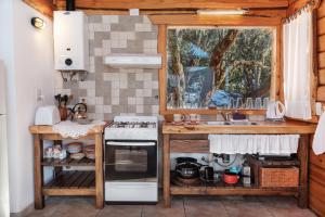 a kitchen with a stove and a sink at Cabañas Bahiamia in Villa Pehuenia