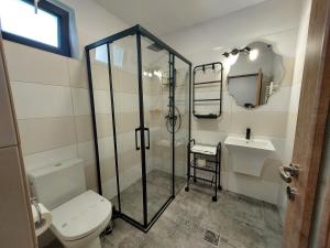 a bathroom with a shower and a toilet and a sink at Cazare D&G in Şeíca Mare +28 photos