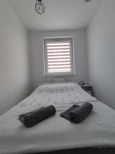 Giường trong phòng chung tại N° 59