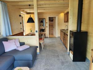 TV a/nebo společenská místnost v ubytování Ferienhütte Premstlahof - Chalet