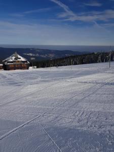 Φωτογραφία από το άλμπουμ του Schronisko PTTK Hala Szrenicka σε Szklarska Poręba
