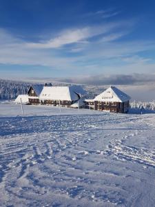 Φωτογραφία από το άλμπουμ του Schronisko PTTK Hala Szrenicka σε Szklarska Poręba