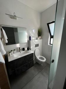 ein Badezimmer mit einem Waschbecken, einem WC und einem Spiegel in der Unterkunft נוף לחרמון in Kibbuz Dafna