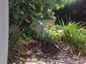 un jardin avec des plantes dans la saleté dans l'établissement Desire, à Heidelberg