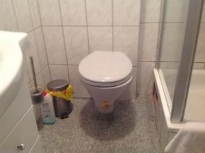 La salle de bains est pourvue de toilettes blanches et d'un lavabo. dans l'établissement Desire, à Heidelberg