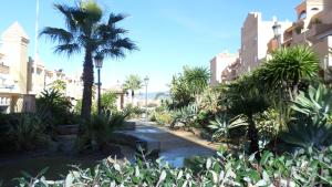 a walkway with palm trees and plants in front of buildings at C/Loft terrazas de la Marina in Tarifa